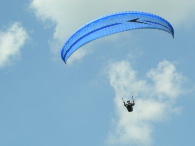 Hamsta im Anflug