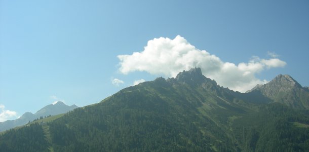 Elfer