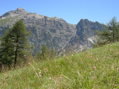 Aussicht vom Elfer-Startplatz