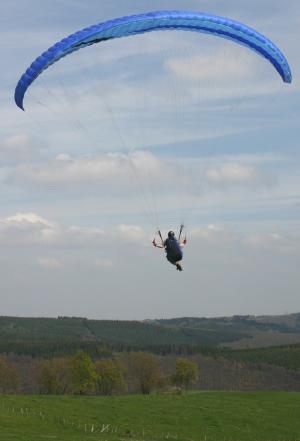 Flieg, Hamsta, flieg!